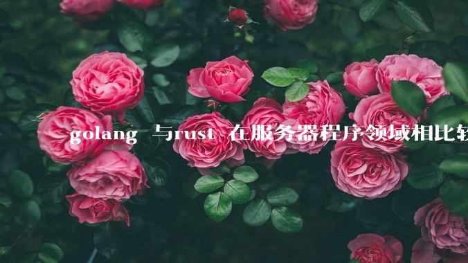 golang 与rust 在服务器程序领域相比较，各有什么优劣势？